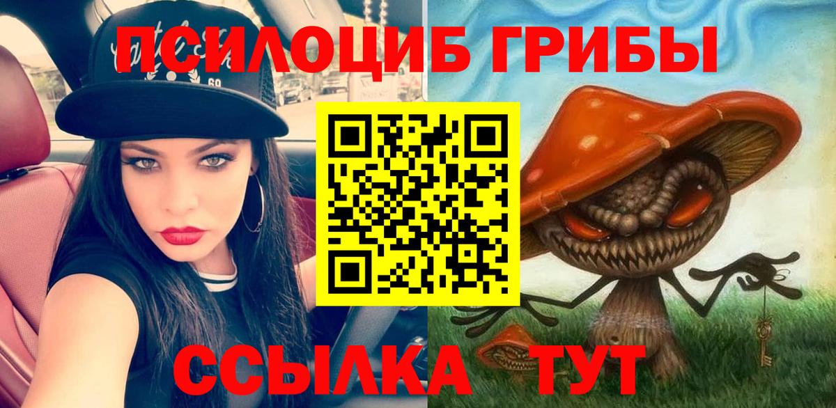 Галлюциногенные грибы Psilocybe  Вход с VPN  Пушкино  Псилоцибиновые грибы GOLDEN TEACHER 